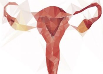 Corso Base di Ecografia Ginecologica