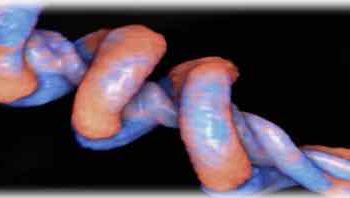 How To Do Febbraio 2020