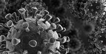 Conoscere meglio il COVID-19