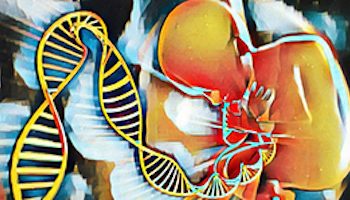 Corso Web di Ecografia e Genetica