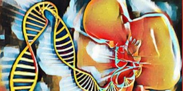 Corso Web di Ecografia e Genetica