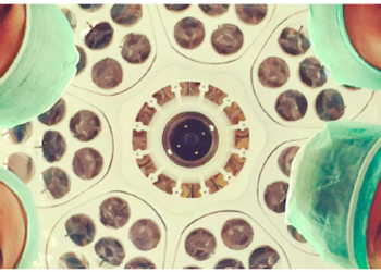 Corso Web di Chirurgia Ostetrica ed Ecografia