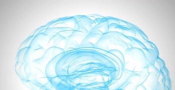 Corso SIEOG di Neurosonografia Fetale