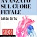 Corso SIEOG di Ecocardiografia Fetale