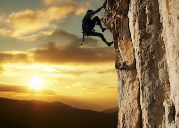 Crescere in SIEOG: dal Comitato Giovani al Consiglio Direttivo