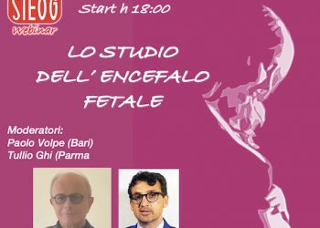 Webinar SIEOG: Lo Studio dell’Encefalo Fetale