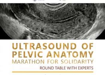 Ultrasound of pelvic anatomy: marathon for solidarity