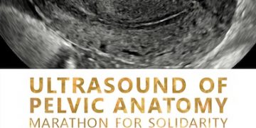Ultrasound of pelvic anatomy: marathon for solidarity