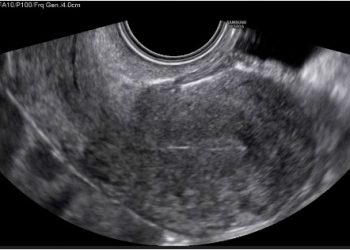 How To Do Ottobre 2022: