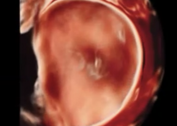 How To Do Novembre 2022: