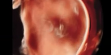 How To Do Novembre 2022: