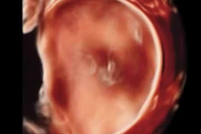 How To Do Novembre 2022: