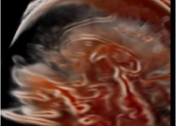 How To Do Febbraio 2023: studio 3D dell’encefalo fetale