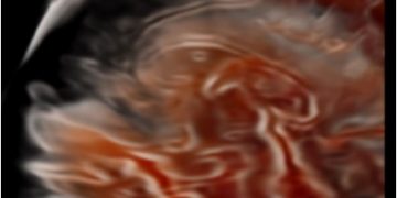 How To Do Febbraio 2023: studio 3D dell’encefalo fetale