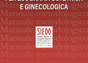 Aggiornamento Manuale Metodologico