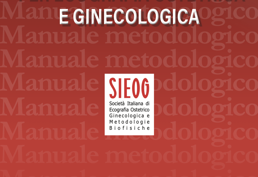 Aggiornamento Manuale Metodologico
