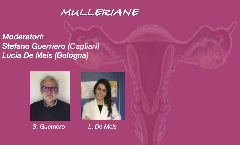 Webinar SIEOG di Giugno 2024: malformazioni uterine
