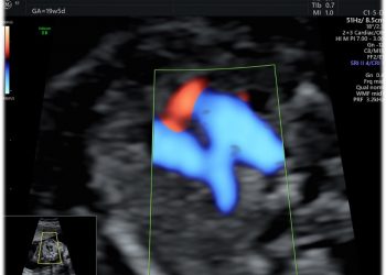 Casi del Mese di Ottobre 2024