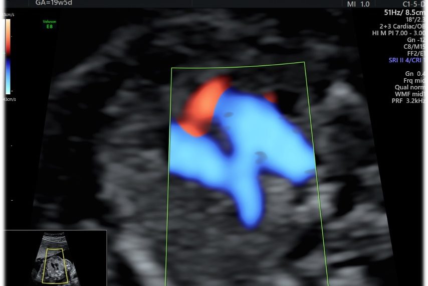 Casi del Mese di Ottobre 2024