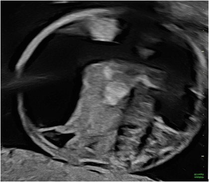 Casi del Mese di Gennaio 2026
