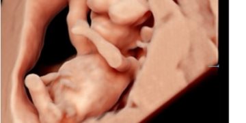 Casi del Mese di Febbraio 2026